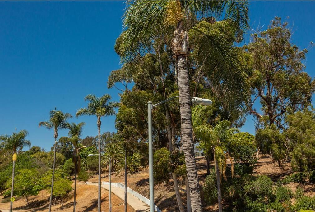 Cozy Studio Next To San Diego Dt And Balboa Park Hotel Exterior photo